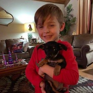 Meet your Posher, Trish